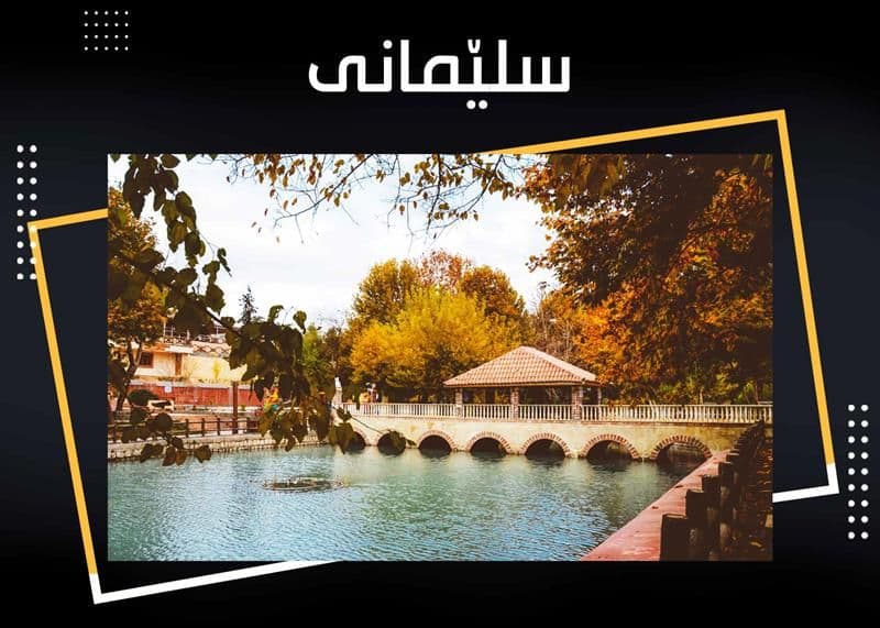 شاری سلیمانی