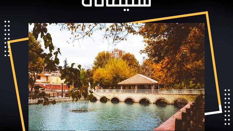 شاری سلیمانی